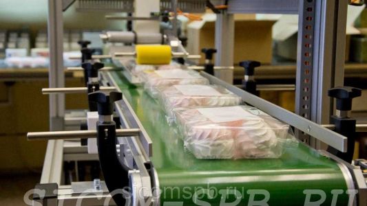 Двухпозиционный этикетировщик для нанесения этикеток на верхнюю и нижнюю поверхности упаковки